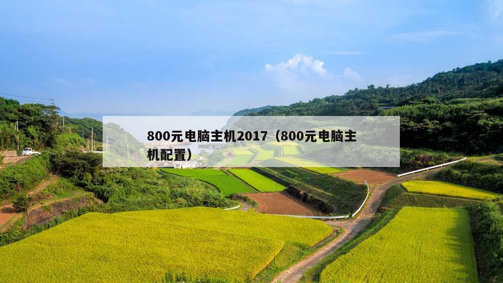 800元电脑主机2017（800元电脑主机配置）