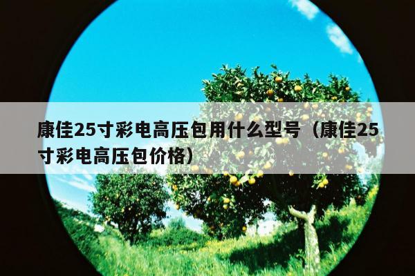 康佳25寸彩电高压包用什么型号（康佳25寸彩电高压包价格）