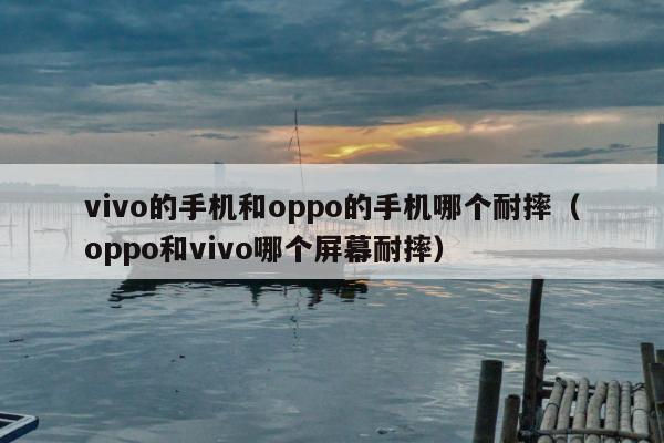 vivo的手机和oppo的手机哪个耐摔（oppo和vivo哪个屏幕耐摔）