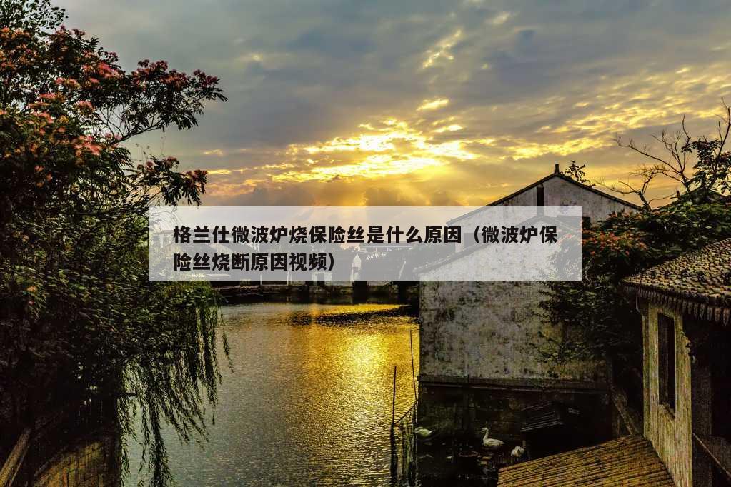 格兰仕微波炉烧保险丝是什么原因（微波炉保险丝烧断原因视频）