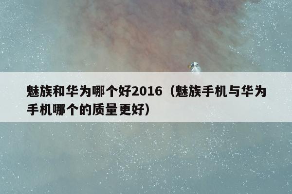 魅族和华为哪个好2016（魅族手机与华为手机哪个的质量更好）