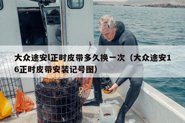 大众途安l正时皮带多久换一次（大众途安16正时皮带安装记号图）