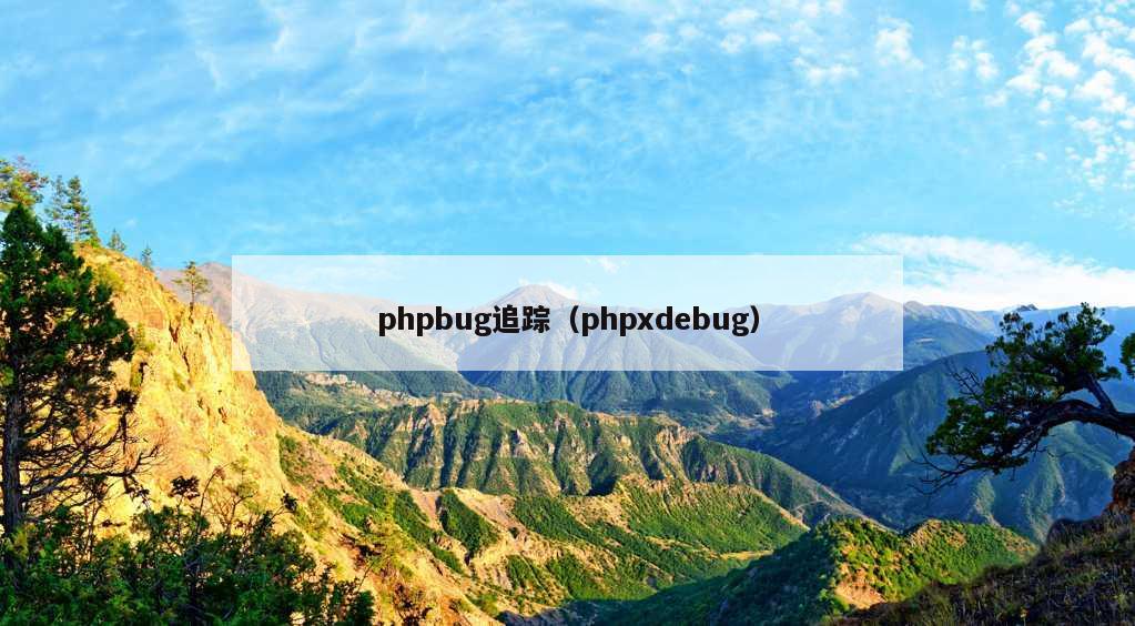 phpbug追踪（phpxdebug）