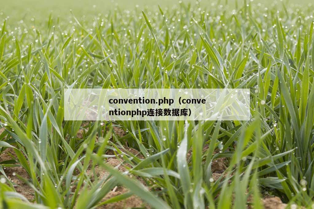 convention.php（conventionphp连接数据库）