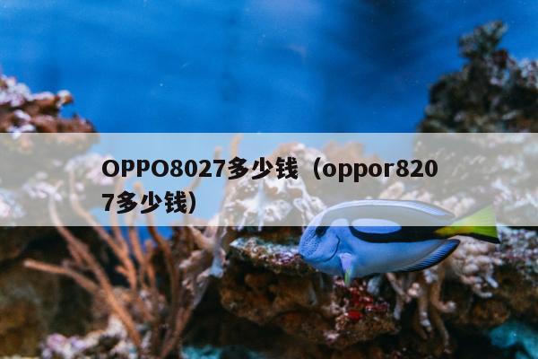 OPPO8027多少钱（oppor8207多少钱）