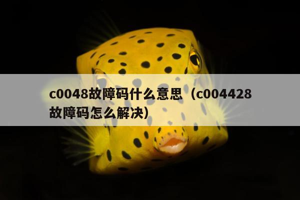 c0048故障码什么意思（c004428故障码怎么解决）