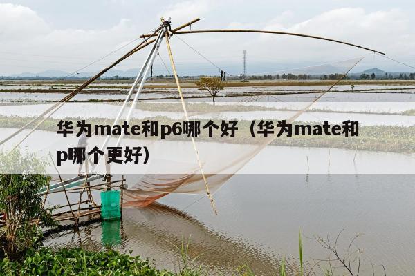 华为mate和p6哪个好（华为mate和p哪个更好）