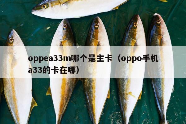 oppea33m哪个是主卡（oppo手机a33的卡在哪）