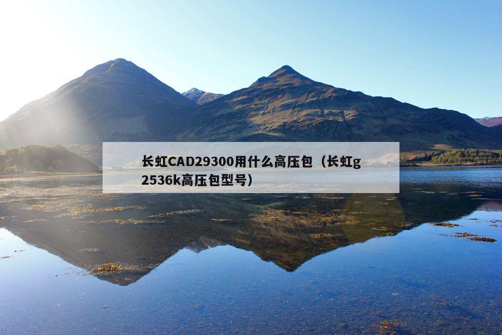 长虹CAD29300用什么高压包（长虹g2536k高压包型号）