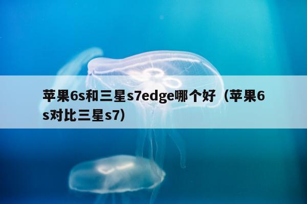 苹果6s和三星s7edge哪个好（苹果6s对比三星s7）