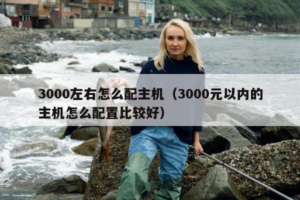 3000左右怎么配主机（3000元以内的主机怎么配置比较好）