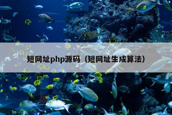 短网址php源码（短网址生成算法）