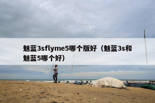 魅蓝3sflyme5哪个版好（魅蓝3s和魅蓝5哪个好）