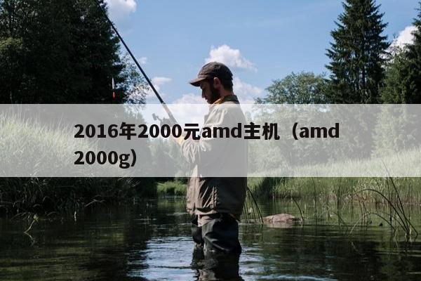 2016年2000元amd主机（amd 2000g）