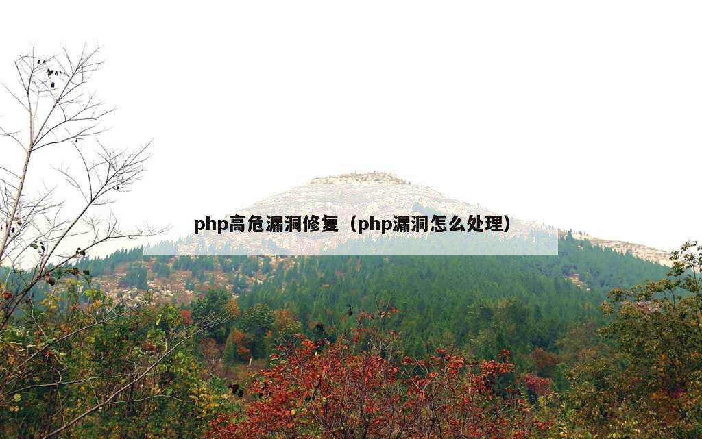 php高危漏洞修复（php漏洞怎么处理）