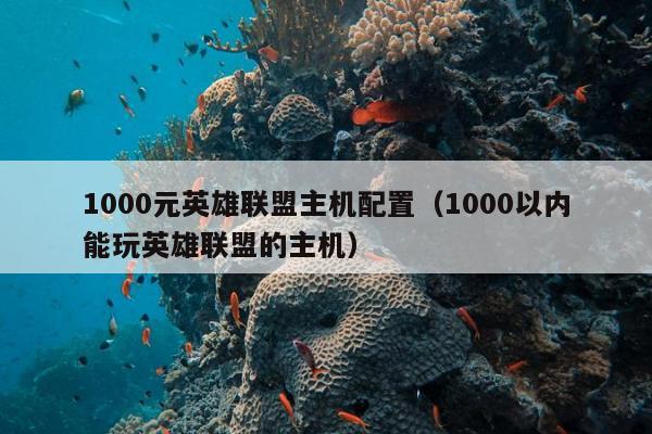 1000元英雄联盟主机配置（1000以内能玩英雄联盟的主机）