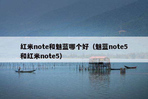 红米note和魅蓝哪个好（魅蓝note5和红米note5）