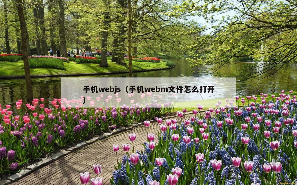 手机webjs（手机webm文件怎么打开）