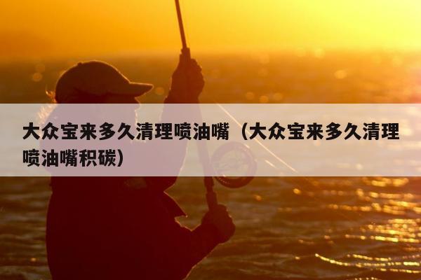 大众宝来多久清理喷油嘴（大众宝来多久清理喷油嘴积碳）