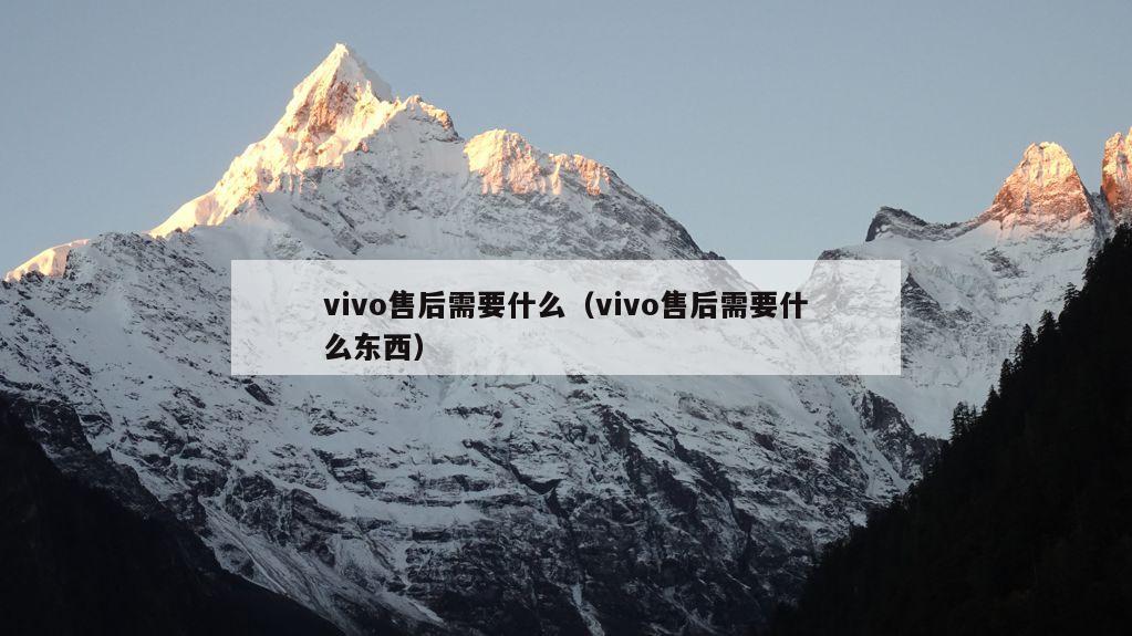 vivo售后需要什么（vivo售后需要什么东西）