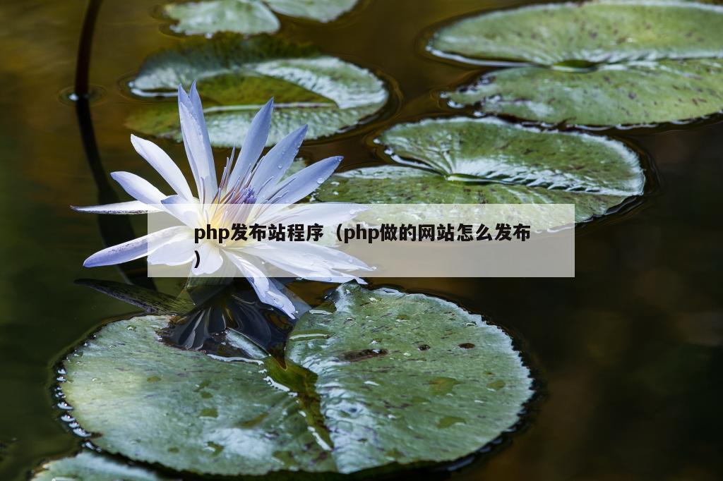 php发布站程序（php做的网站怎么发布）