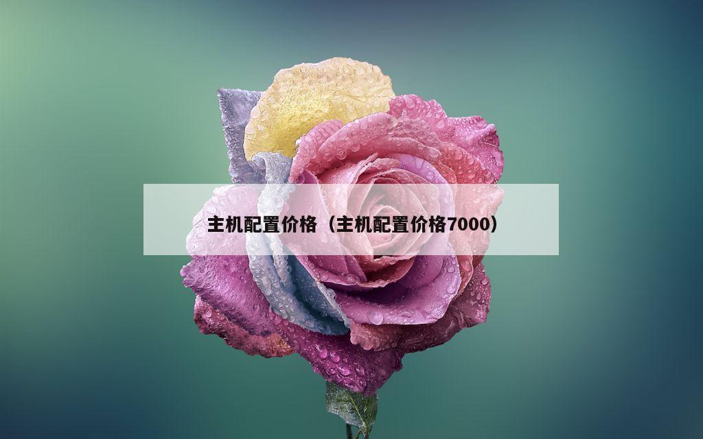 主机配置价格（主机配置价格7000）