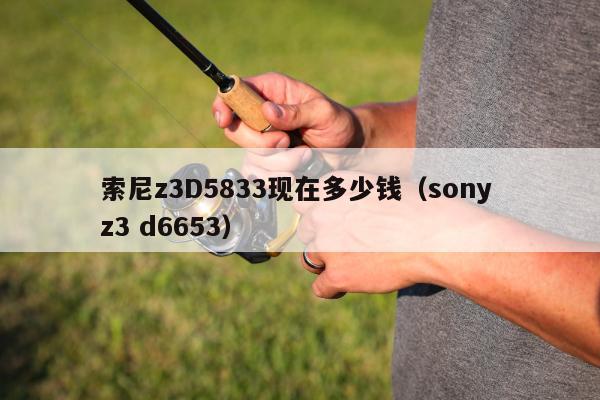 索尼z3D5833现在多少钱（sony z3 d6653）