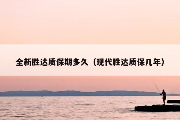 全新胜达质保期多久（现代胜达质保几年）