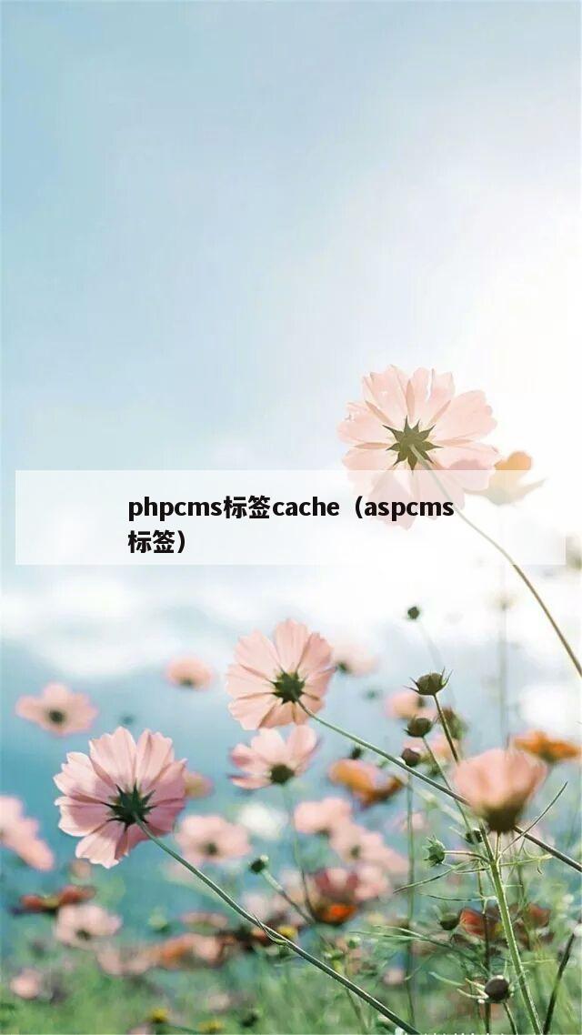 phpcms标签cache（aspcms标签）