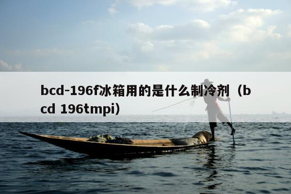 bcd-196f冰箱用的是什么制冷剂（bcd 196tmpi）