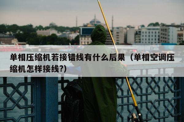 单相压缩机若接错线有什么后果（单相空调压缩机怎样接线?）