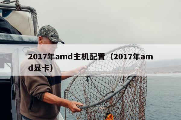 2017年amd主机配置（2017年amd显卡）