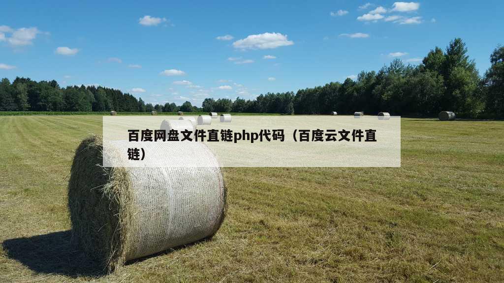 百度网盘文件直链php代码（百度云文件直链）