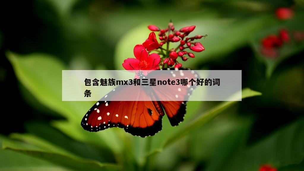 包含魅族mx3和三星note3哪个好的词条