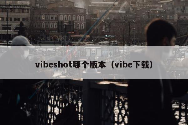 vibeshot哪个版本（vibe下载）