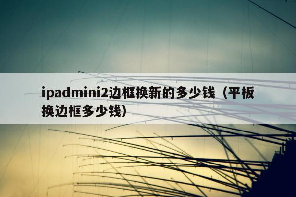 ipadmini2边框换新的多少钱（平板换边框多少钱）