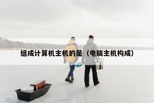 组成计算机主机的是（电脑主机构成）