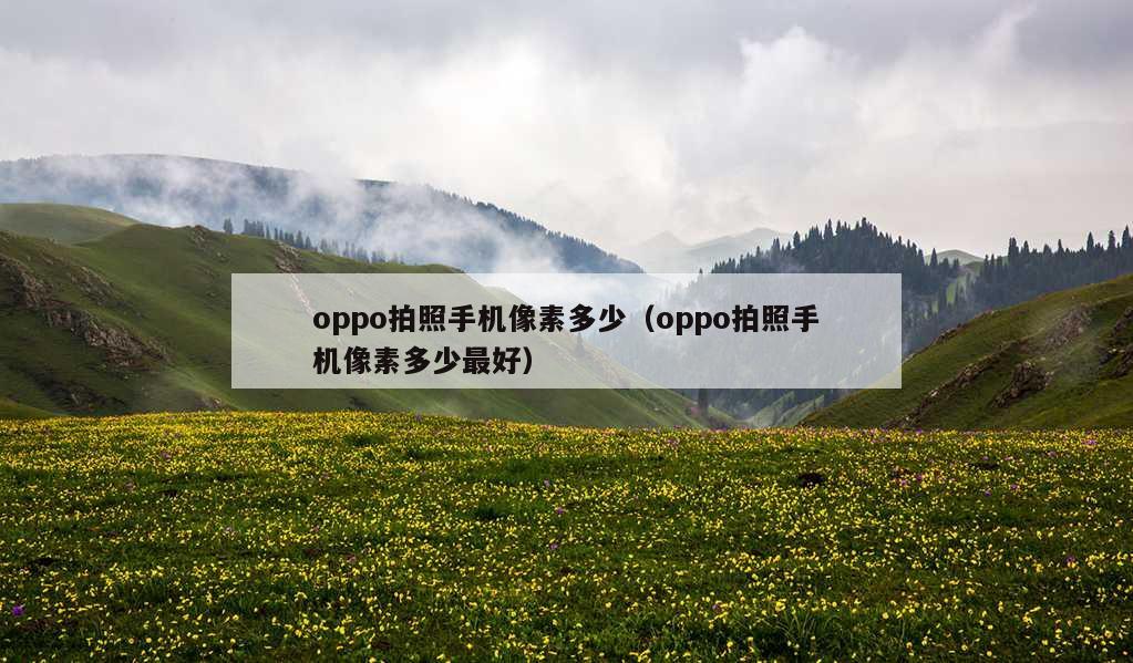 oppo拍照手机像素多少（oppo拍照手机像素多少最好）