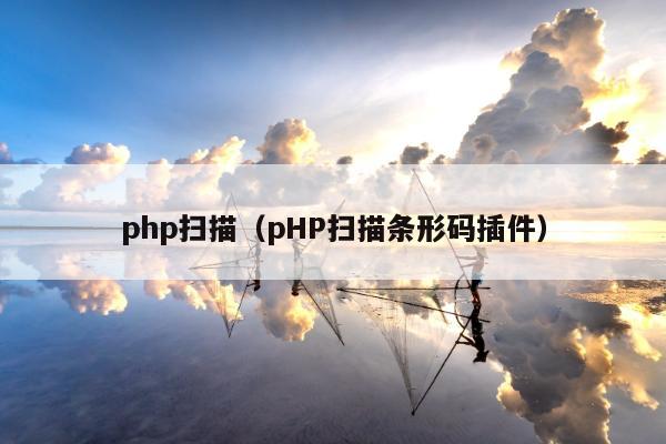 php扫描（pHP扫描条形码插件）