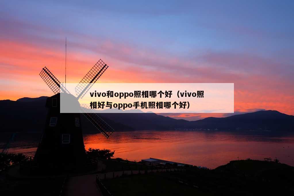 vivo和oppo照相哪个好（vivo照相好与oppo手机照相哪个好）