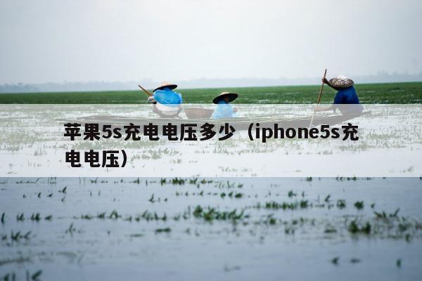 苹果5s充电电压多少（iphone5s充电电压）