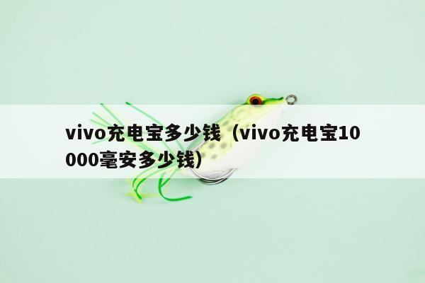 vivo充电宝多少钱（vivo充电宝10000毫安多少钱）