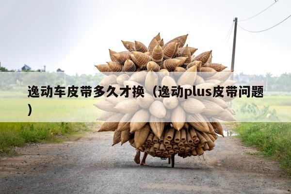 逸动车皮带多久才换（逸动plus皮带问题）