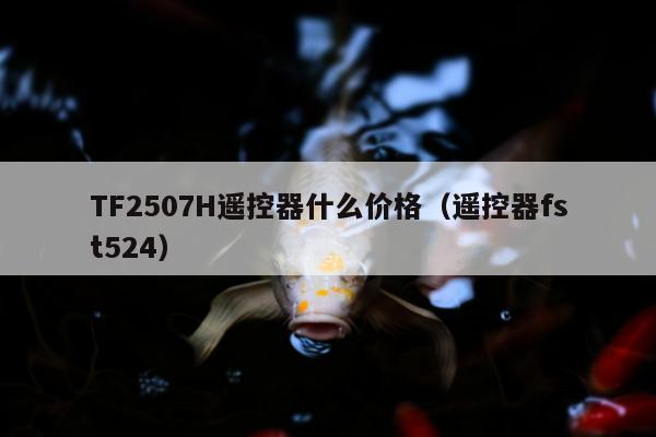 TF2507H遥控器什么价格（遥控器fst524）