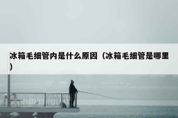 冰箱毛细管内是什么原因（冰箱毛细管是哪里）