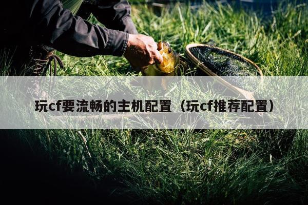 玩cf要流畅的主机配置（玩cf推荐配置）