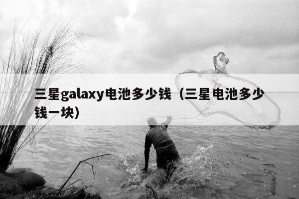 三星galaxy电池多少钱（三星电池多少钱一块）