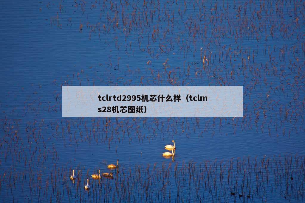 tclrtd2995机芯什么样（tclms28机芯图纸）