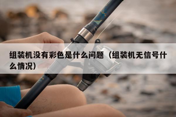 组装机没有彩色是什么问题（组装机无信号什么情况）