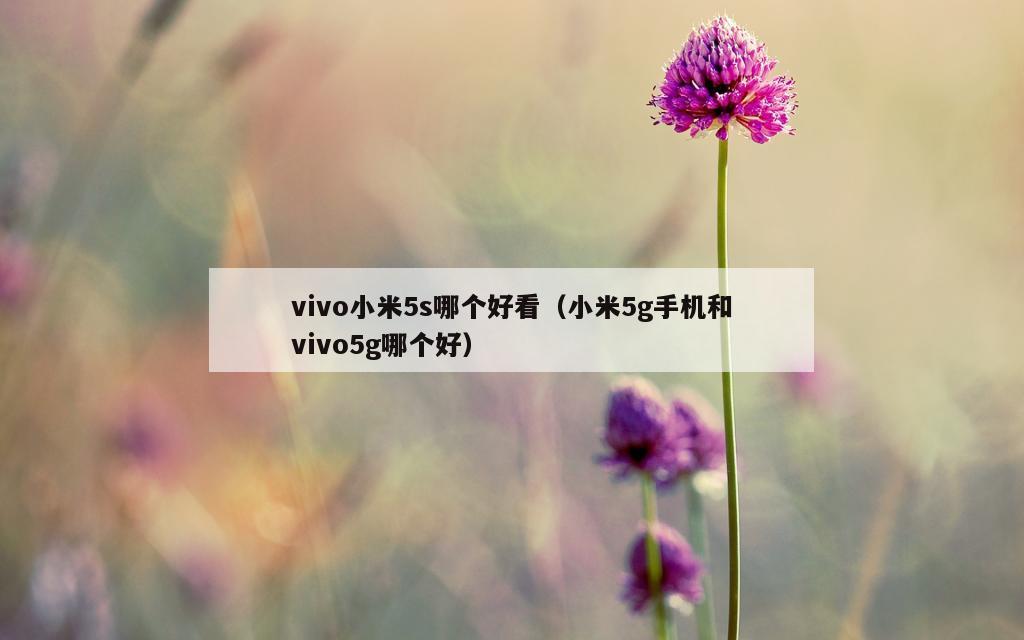 vivo小米5s哪个好看（小米5g手机和vivo5g哪个好）